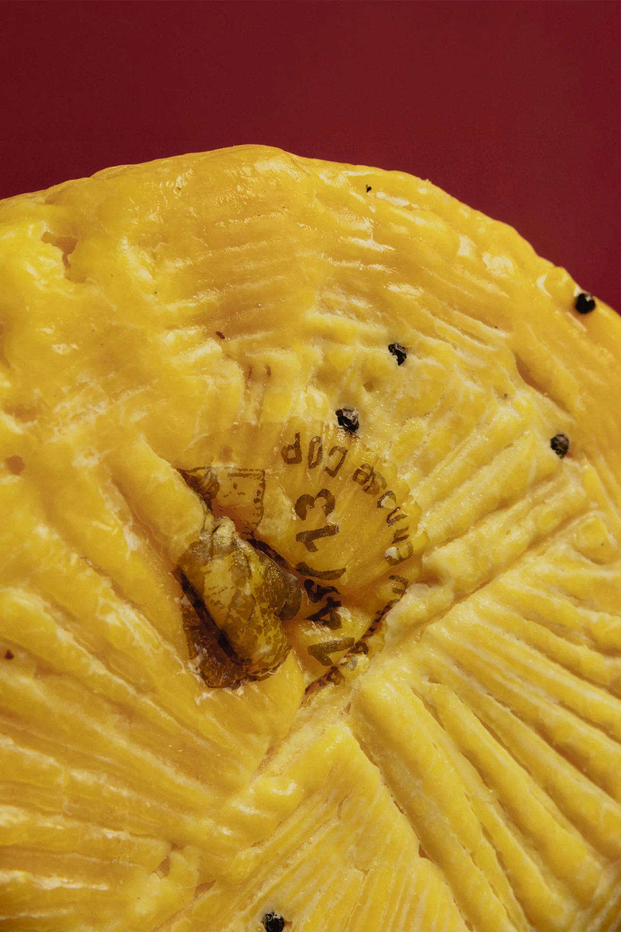 Close-up of the rind and mark on an aged cheese